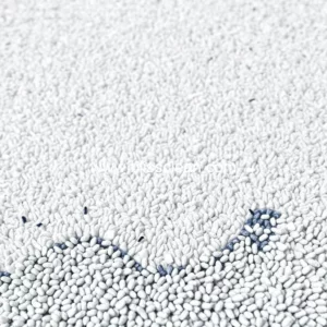 Read more about the article Essentials for choosing a reliable local carpet cleaning service!