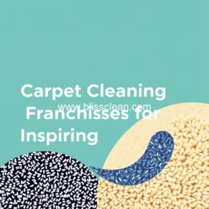 Read more about the article Best Carpet Cleaning Franchises for Aspiring Owners