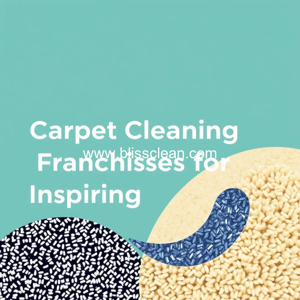 You are currently viewing Best Carpet Cleaning Franchises for Aspiring Owners