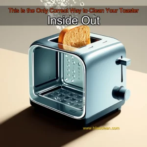 Read more about the article This Is the Only Correct Way to Clean Your Toaster Inside Out
