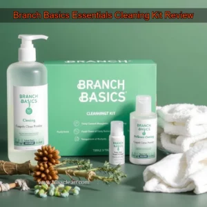 Read more about the article Branch Basics Essentials Cleaning Kit Review