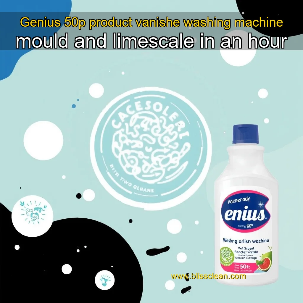 You are currently viewing Genius 50p product vanishe washing machine mould and limescale in an hour