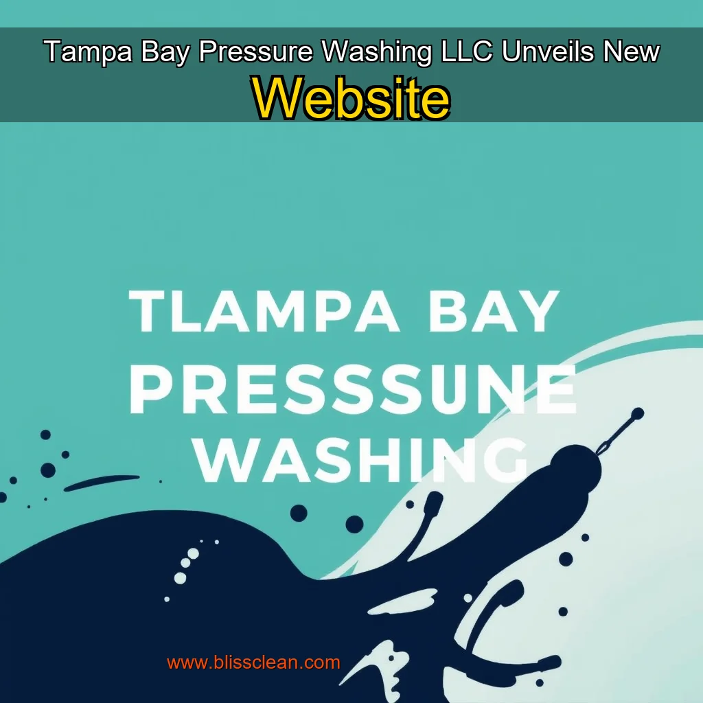 Read more about the article Tampa Bay Pressure Washing  LLC Unveils New Website
