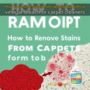 Read more about the article How to remove stains from carpets fast without vinegar  bleach or carpet cleaners