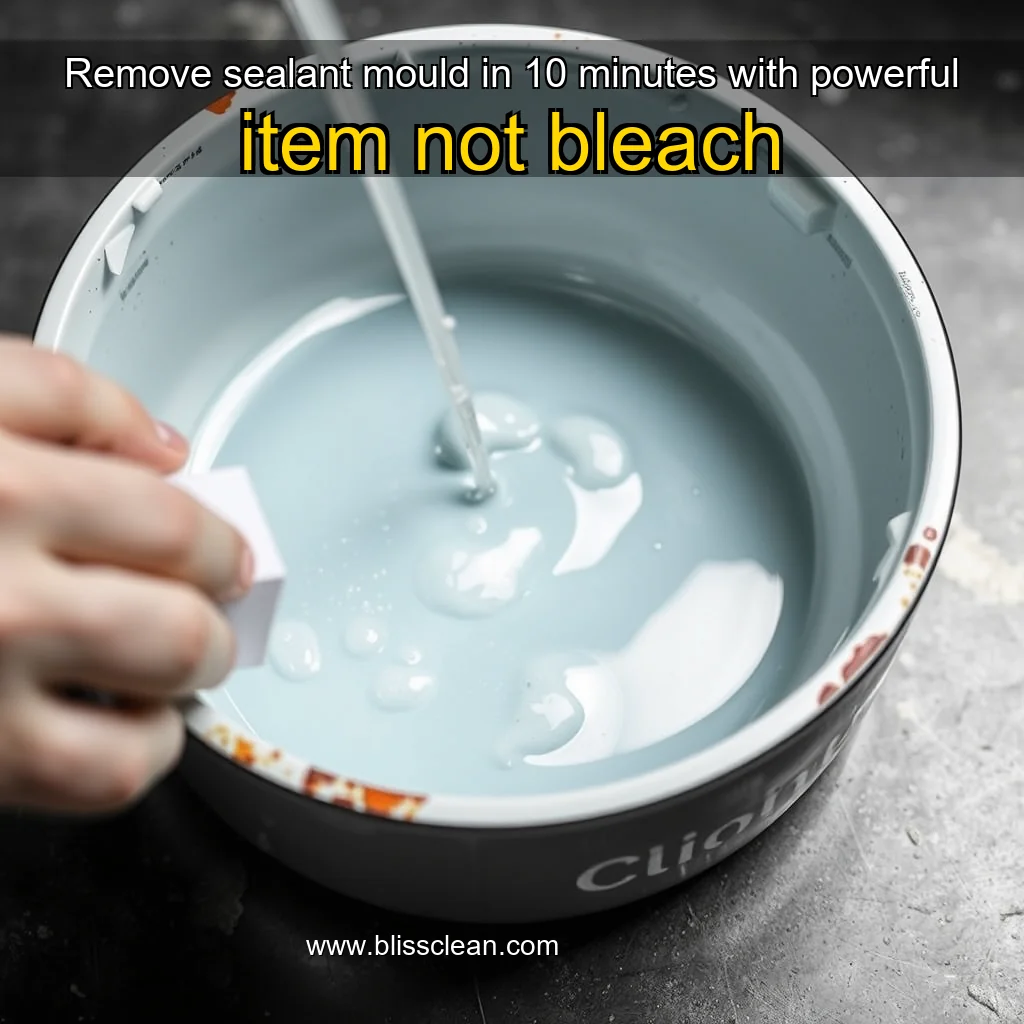 You are currently viewing Remove sealant mould in 10 minutes with powerful item  not bleach