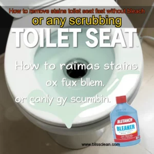 Read more about the article How to remove stains toilet seat fast without bleach or any scrubbing