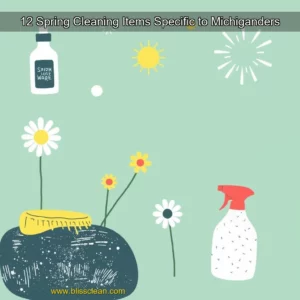 Read more about the article 12 Spring Cleaning Items Specific to Michiganders