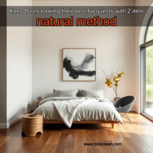 Read more about the article Keep floors looking their best for guests with 2  item natural method