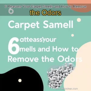 Read more about the article 6 Reasons Your Carpet Smells and How to Remove the Odors