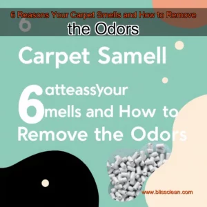 Read more about the article 6 Reasons Your Carpet Smells and How to Remove the Odors