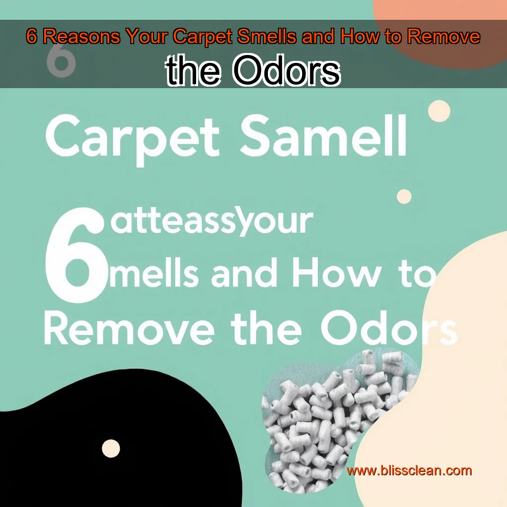 You are currently viewing 6 Reasons Your Carpet Smells and How to Remove the Odors