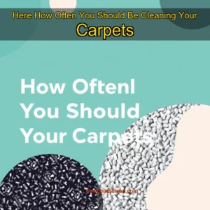 Read more about the article Here How Often You Should Be Cleaning Your Carpets