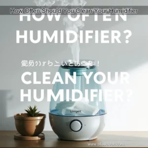 Read more about the article How Often Should You Clean Your Humidifier