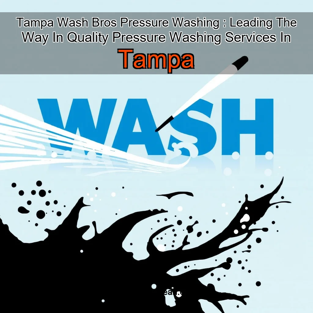 You are currently viewing Tampa Wash Bros Pressure Washing : Leading The Way In Quality Pressure Washing Services In Tampa