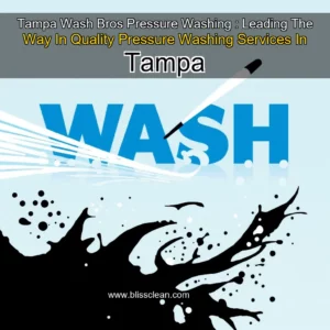 Read more about the article Tampa Wash Bros Pressure Washing : Leading The Way In Quality Pressure Washing Services In Tampa