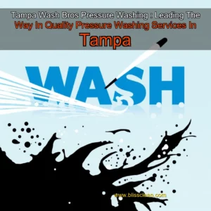 Read more about the article Tampa Wash Bros Pressure Washing : Leading The Way In Quality Pressure Washing Services In Tampa