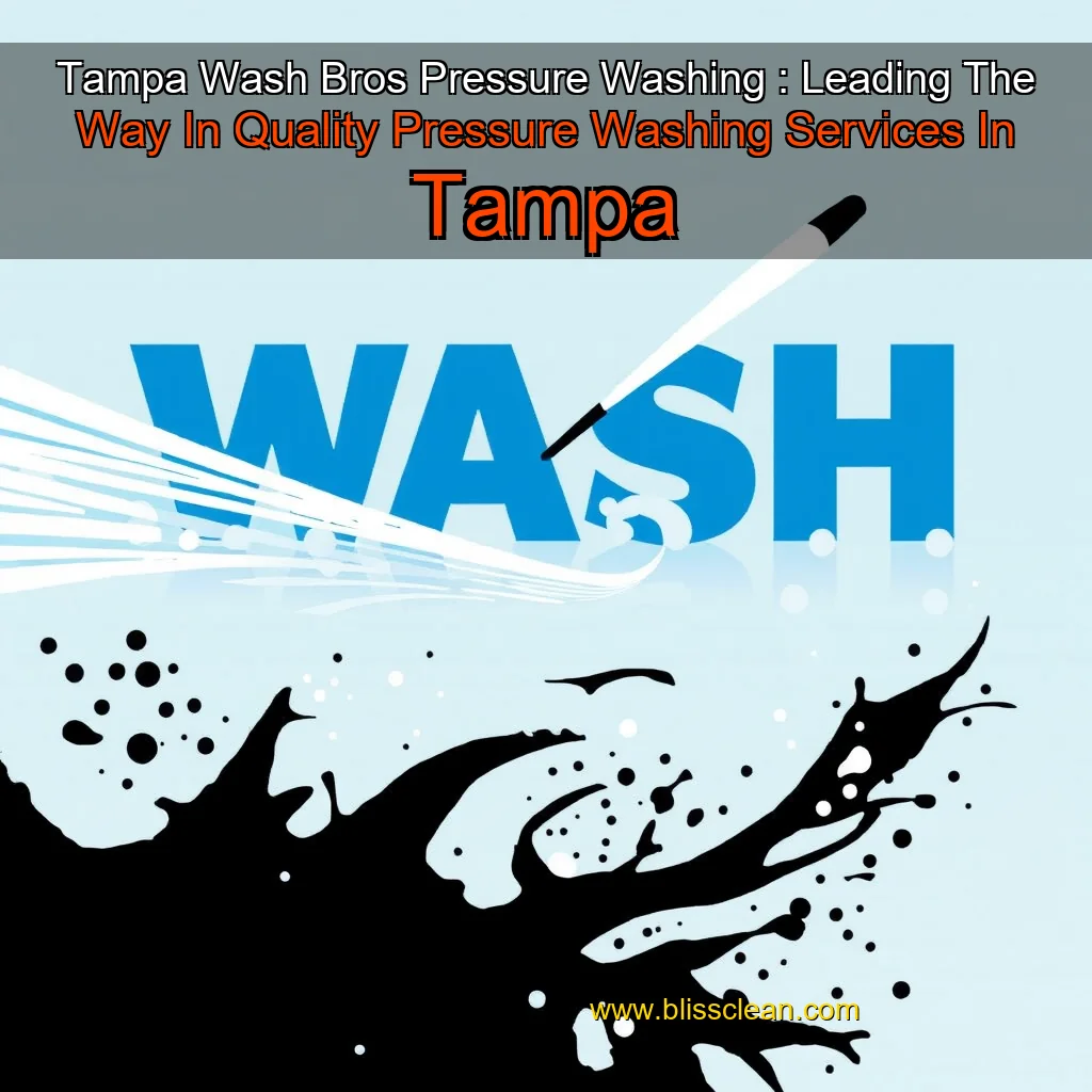 You are currently viewing Tampa Wash Bros Pressure Washing : Leading The Way In Quality Pressure Washing Services In Tampa