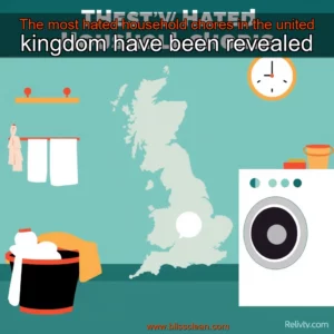 Read more about the article The most hated household chores in the united kingdom have been revealed