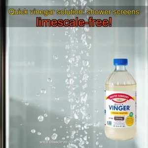 Read more about the article Quick vinegar solution: shower screens limescale-free!