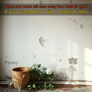 Read more about the article Damp and mould will clear away from walls for good if you wash them with 1 natural item