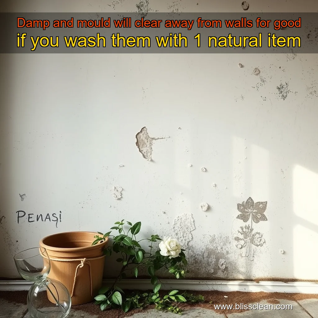 Read more about the article Damp and mould will clear away from walls for good if you wash them with 1 natural item