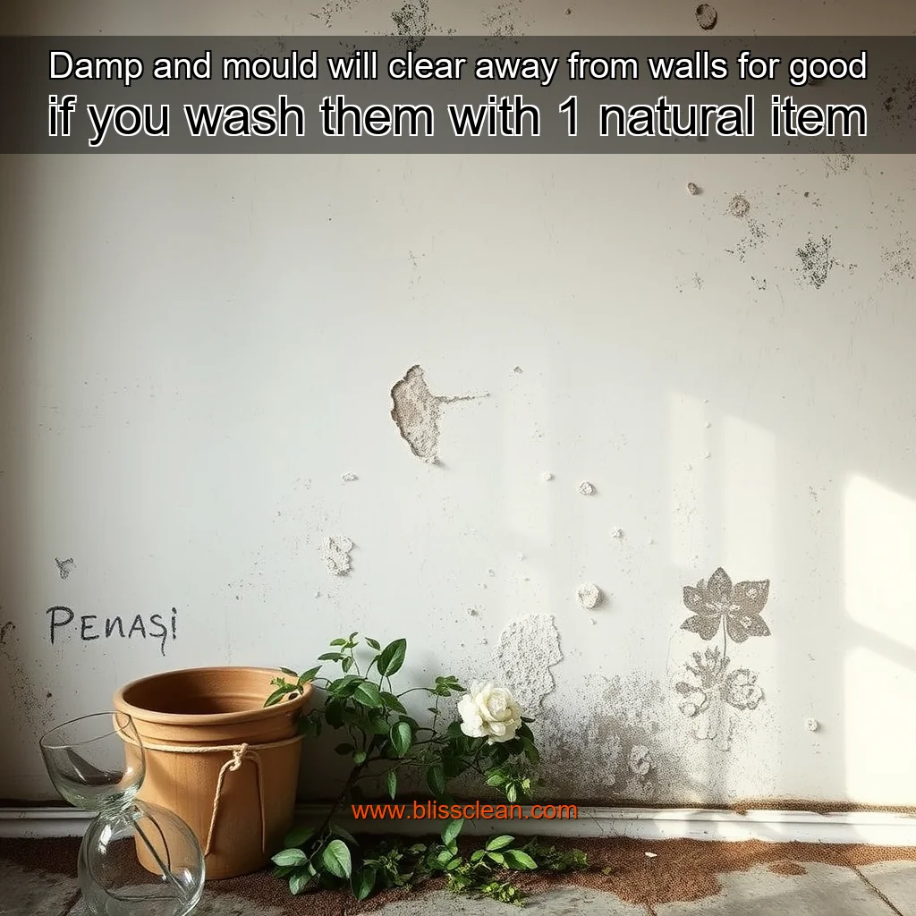 You are currently viewing Damp and mould will clear away from walls for good if you wash them with 1 natural item