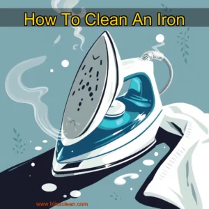 Read more about the article How To Clean An Iron