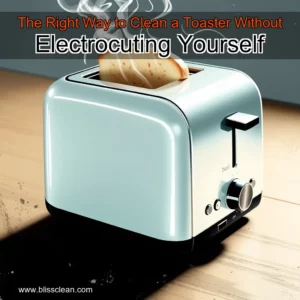 Read more about the article The Right Way to Clean a Toaster  Without Electrocuting Yourself