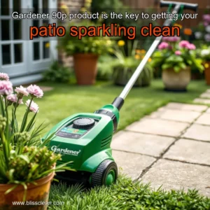 Read more about the article Gardener 90p product is the key to getting your patio sparkling clean