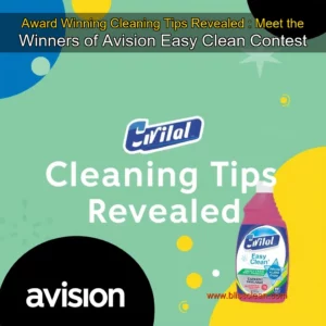 Read more about the article Award  Winning Cleaning Tips Revealed : Meet the Winners of Avision Easy Clean Contest