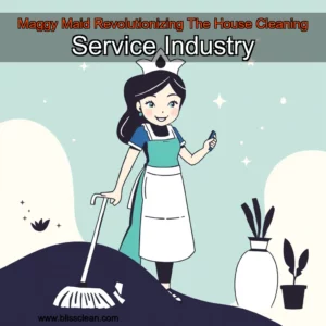 Read more about the article Maggy Maid Revolutionizing The House Cleaning Service Industry