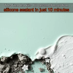 Read more about the article The 4 item that kills 100 percent of mould from silicone sealant in just 10 minutes