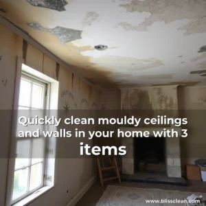 Read more about the article Quickly clean mouldy ceilings and walls in your home with 3 items