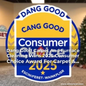 Read more about the article Dang Good Carpet And Furnace Cleaning Wins 2025 Consumer Choice Award For Carpet & Furnace Cleaning In Southern Alberta, Canada!