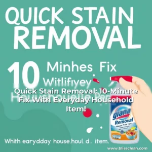 Read more about the article Quick Stain Removal: 10-Minute Fix With Everyday Household Item!