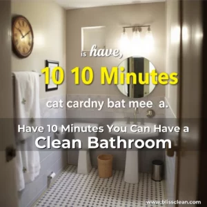 Read more about the article Have 10 Minutes  You Can Have a Clean Bathroom