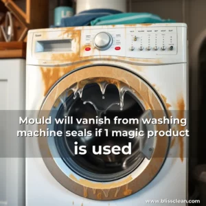 Read more about the article Mould will vanish from washing machine seals if 1 magic product is used