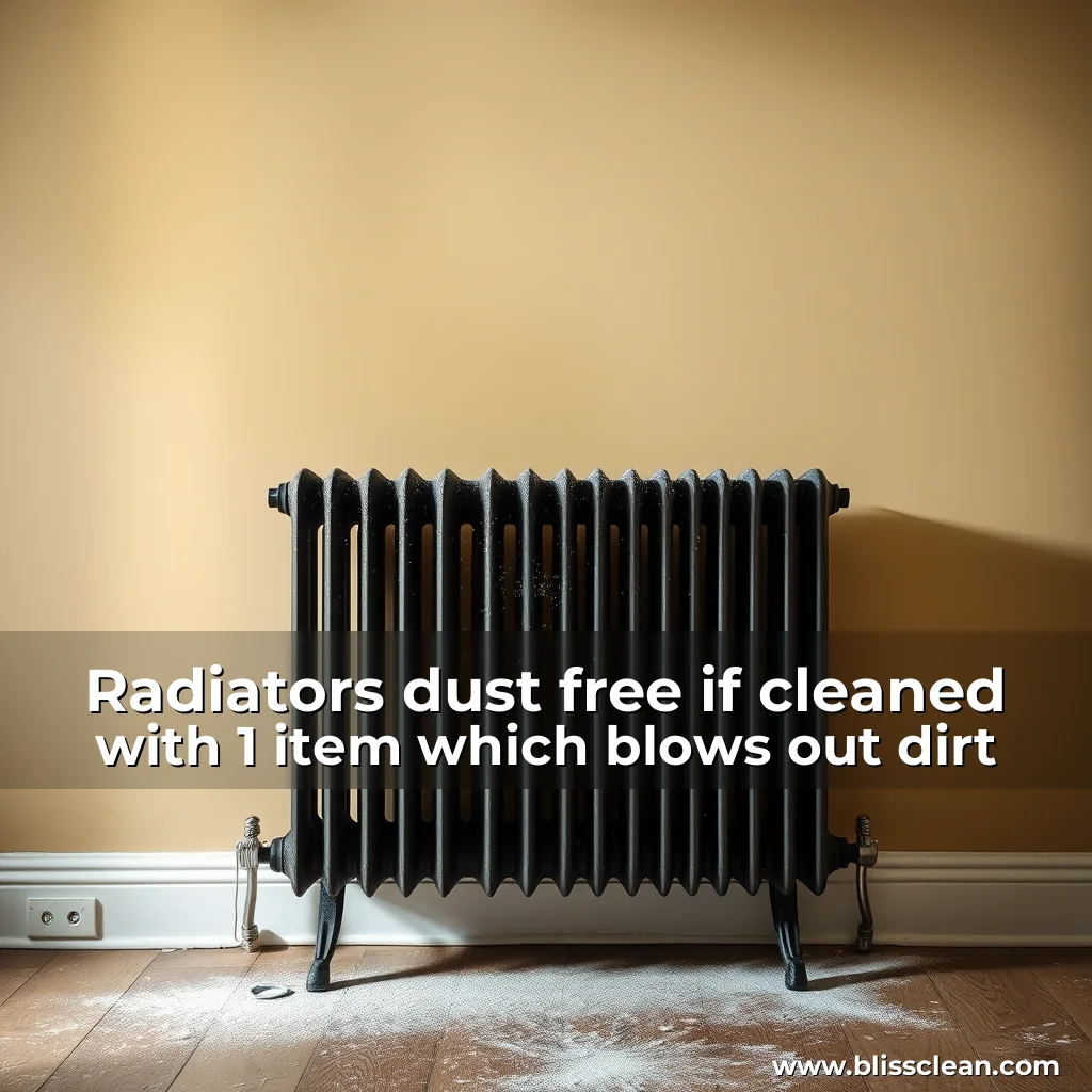 Read more about the article Radiators dust  free if cleaned with 1 item which blows out dirt