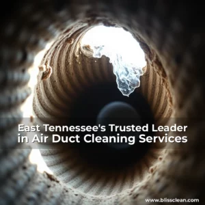 Read more about the article East Tennessee’s Trusted Leader in Air Duct Cleaning Services