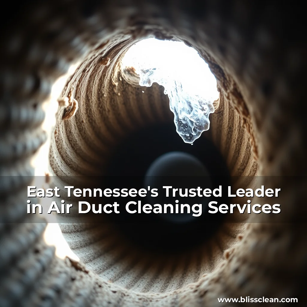 Read more about the article East Tennessee’s Trusted Leader in Air Duct Cleaning Services