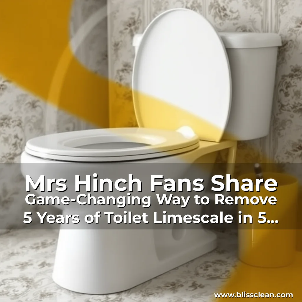 Read more about the article Mrs Hinch Fans Share Game-Changing Way to Remove 5 Years of Toilet Limescale in 5 Minutes