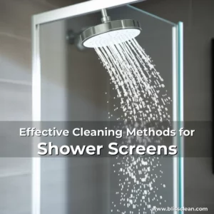 Read more about the article Effective Cleaning Methods for Shower Screens