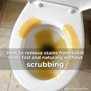 Read more about the article How to remove stains from toilet seats fast and naturally without scrubbing