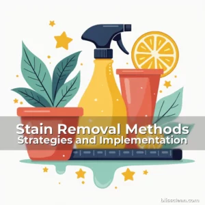 Artistic representation for Stain Removal Methods Strategies and Implementation