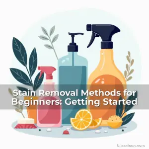 Artistic representation for Stain Removal Methods for Beginners: Getting Started
