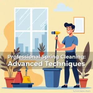 Artistic representation for Professional Spring Cleaning: Advanced Techniques