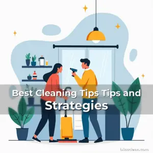 Read more about the article Best Cleaning Tips Tips and Strategies