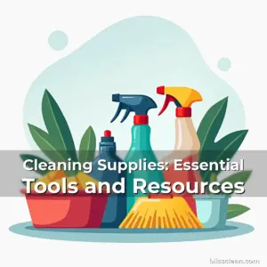 Artistic representation for Cleaning Supplies: Essential Tools and Resources
