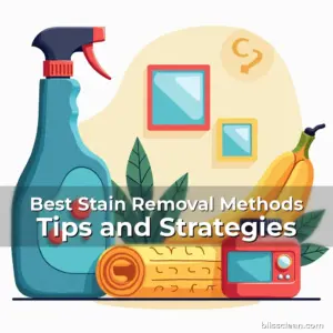 Artistic representation for Best Stain Removal Methods Tips and Strategies