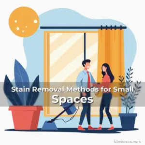 Artistic representation for Stain Removal Methods for Small Spaces